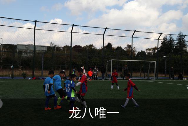 龙八唯一公司展示图片